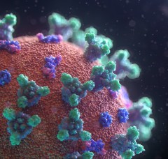 1-virus